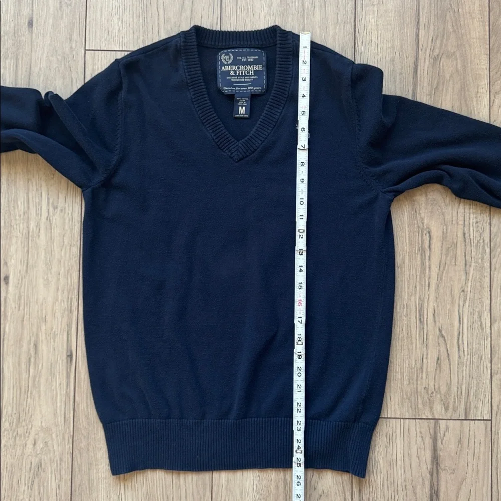 Abercrombie & Fitch Men's V-Neck Sweater Blue Medium 2000s Classic Moose Logo